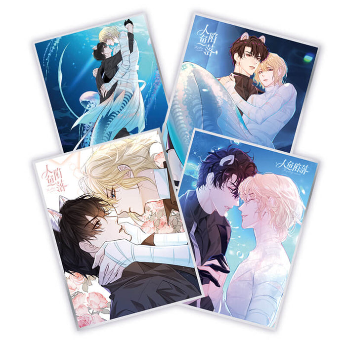 06~09 (4pcs in)