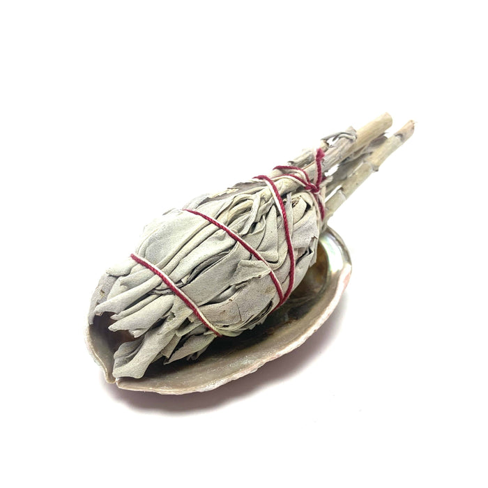 Abalone Shell & Mini Sage Smudge Bundles House of Intuition A. $12.00