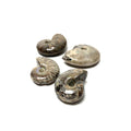 Ammonite Ammonite Crystals A. $3.00