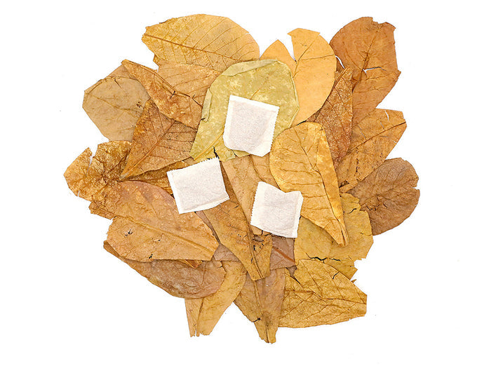 Aquatic Arts Tannin Tea Bags (Terminalia catappa) — Natural Tannins Without Debris