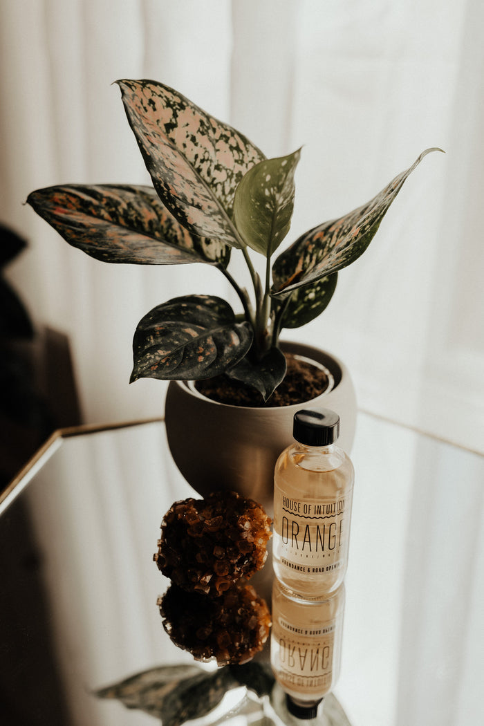 Orange Water Personal Care -Water V50