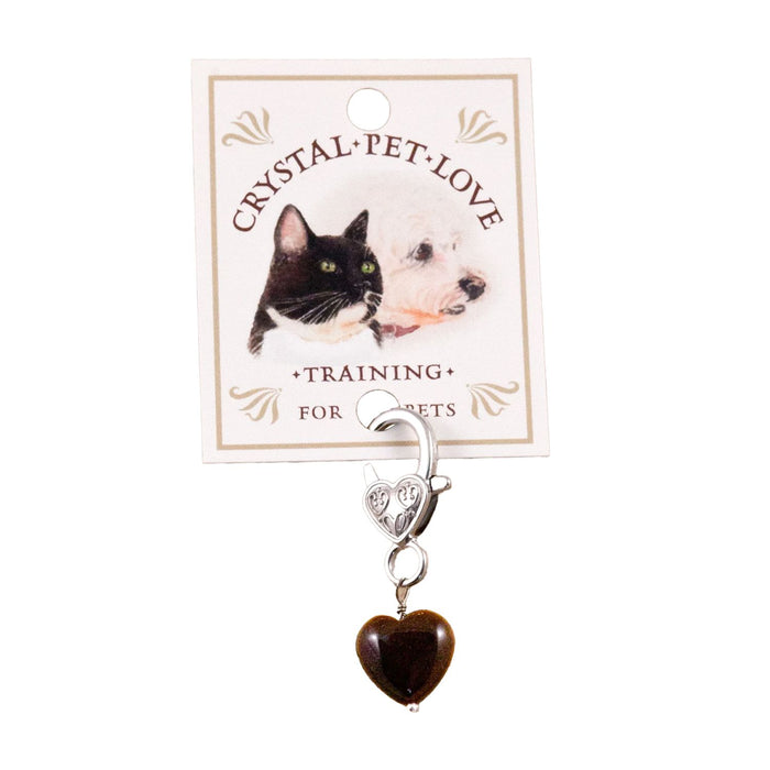 Pet Charm - "Training" Charms & Pendants -Pet Whse