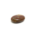 Petrified Wood Pillow Petrified Wood Crystals A. $14.00