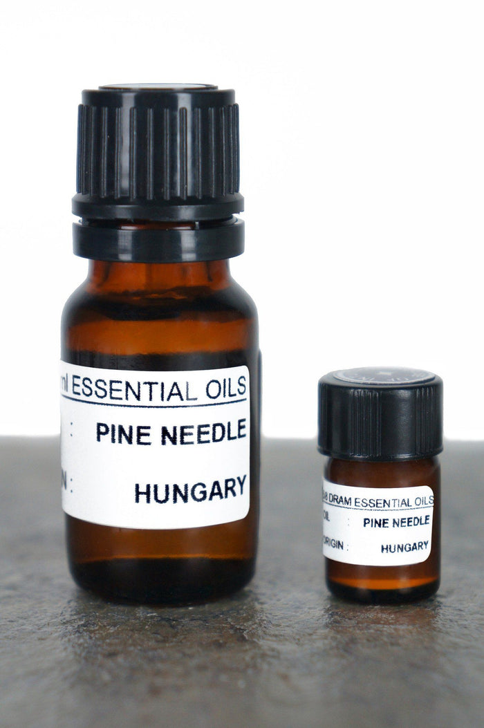 Pine Needle Essential Oil Essential Oils House of Intuition