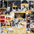 QiangJinJiu Physical Book Novel Vol. 1~4