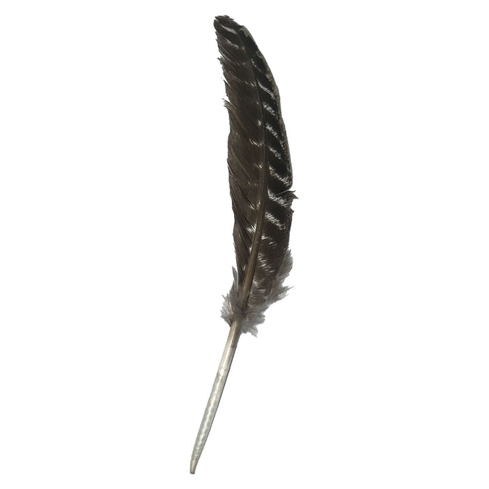 Turkey Feather Incense & Holders -Smudge Whse